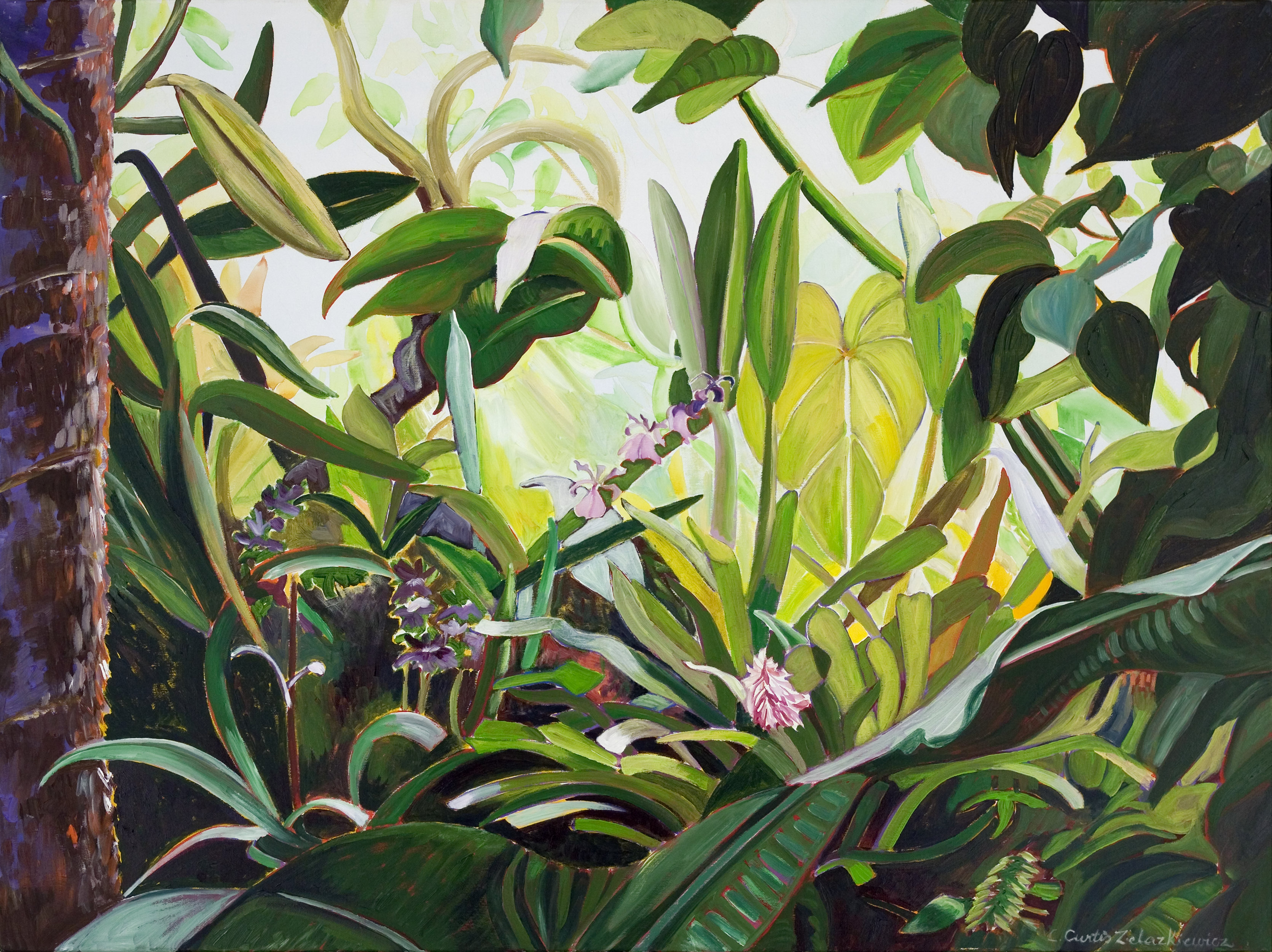 Bronx Jungle - Linda Curtis