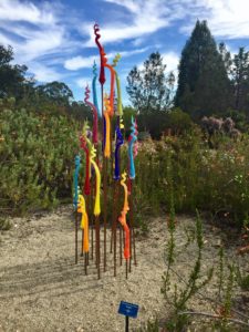 "Squiggles", by Cristy Aloysi and Scott Graham